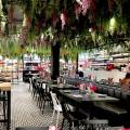 MASA Artisan Dimsum Cafe - Great World City | Product Seen: [Choyu Chair]